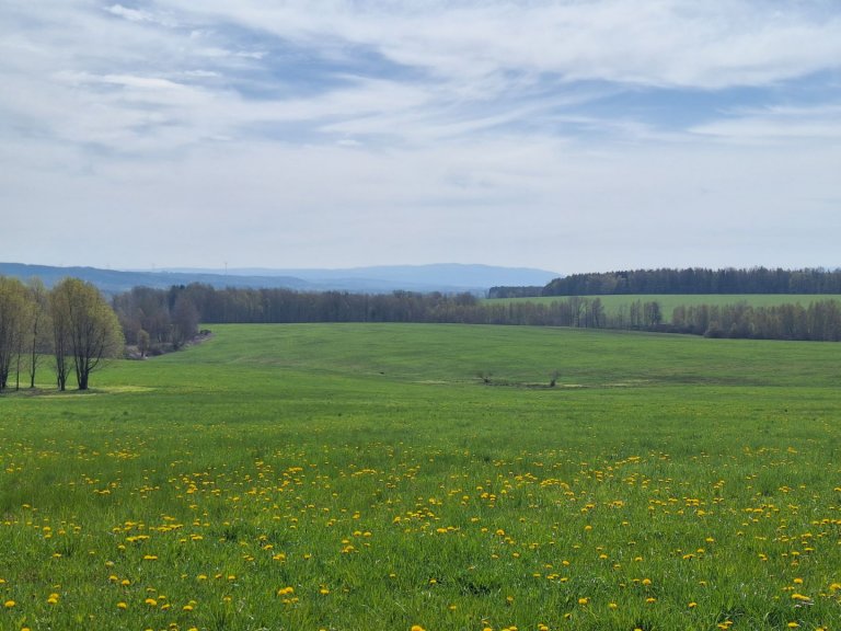 Landschaft um Schönbach