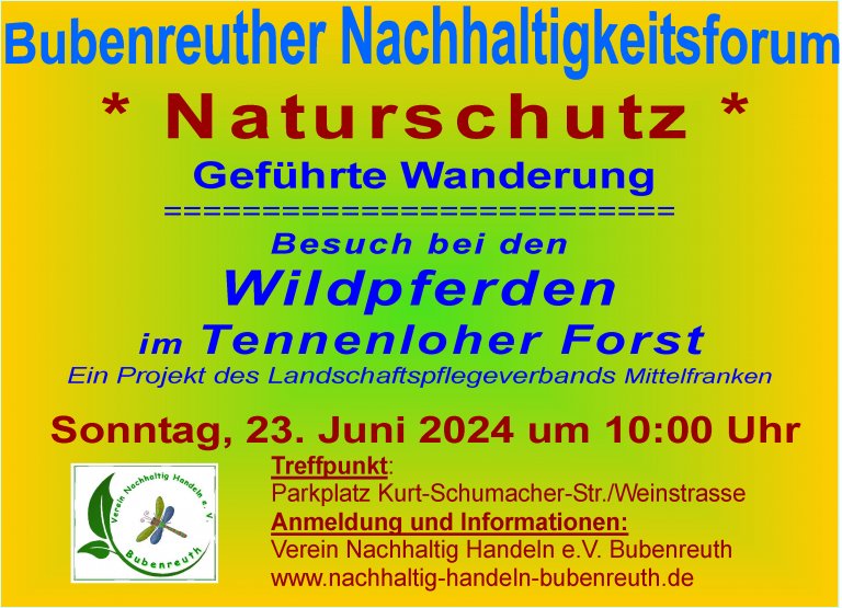 Besuch bei den Wildpferden